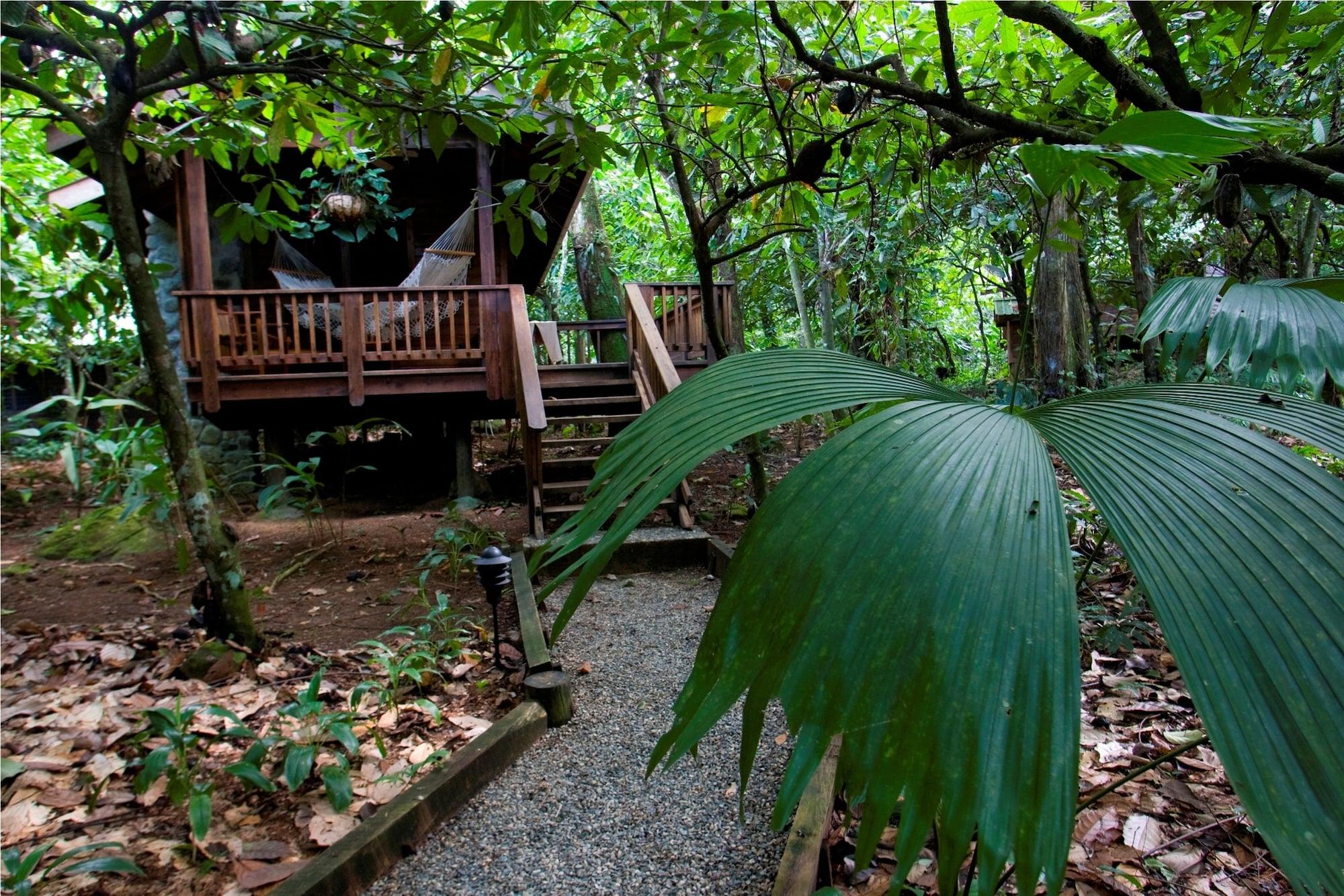The Lodge & Spa At Pico Bonito El Pino Εξωτερικό φωτογραφία