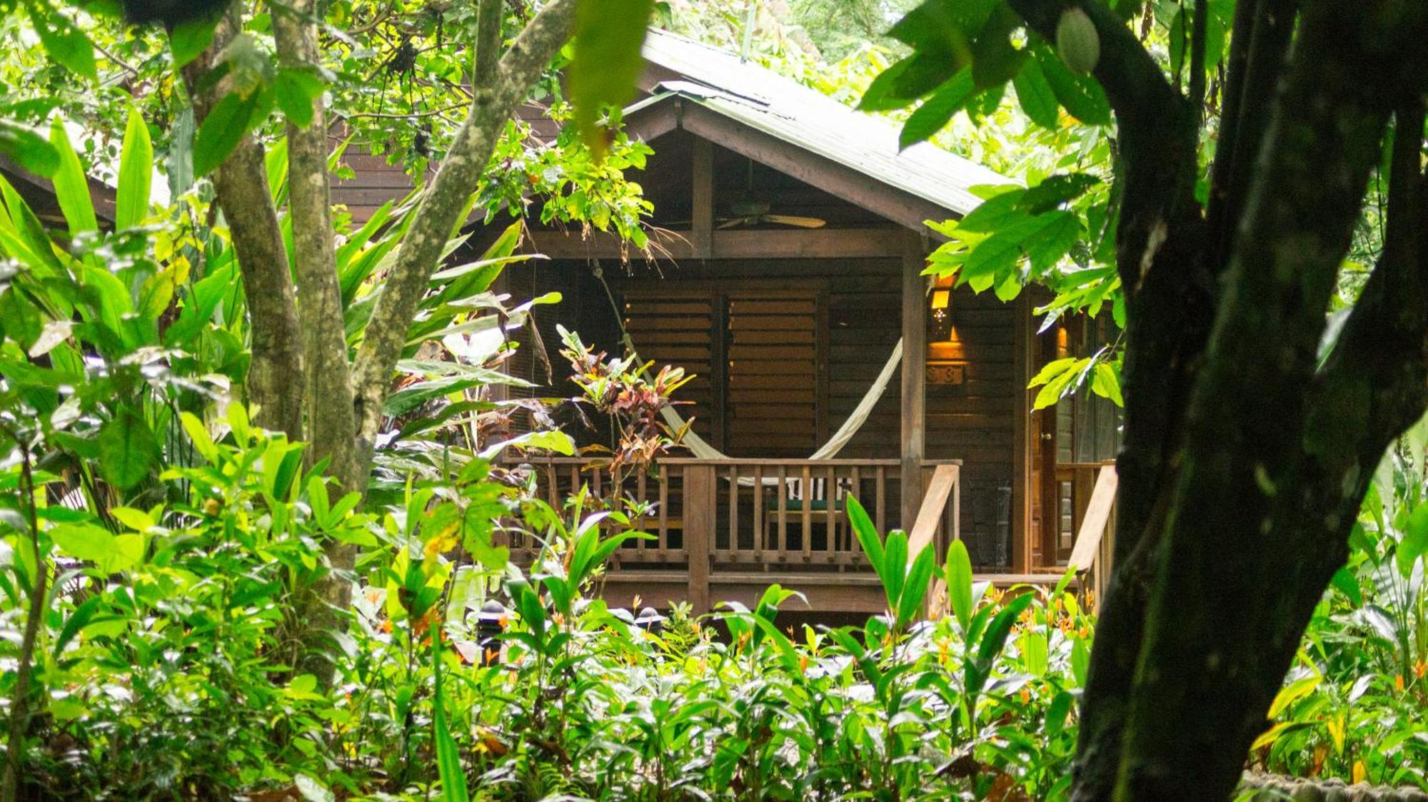 The Lodge & Spa At Pico Bonito El Pino Εξωτερικό φωτογραφία