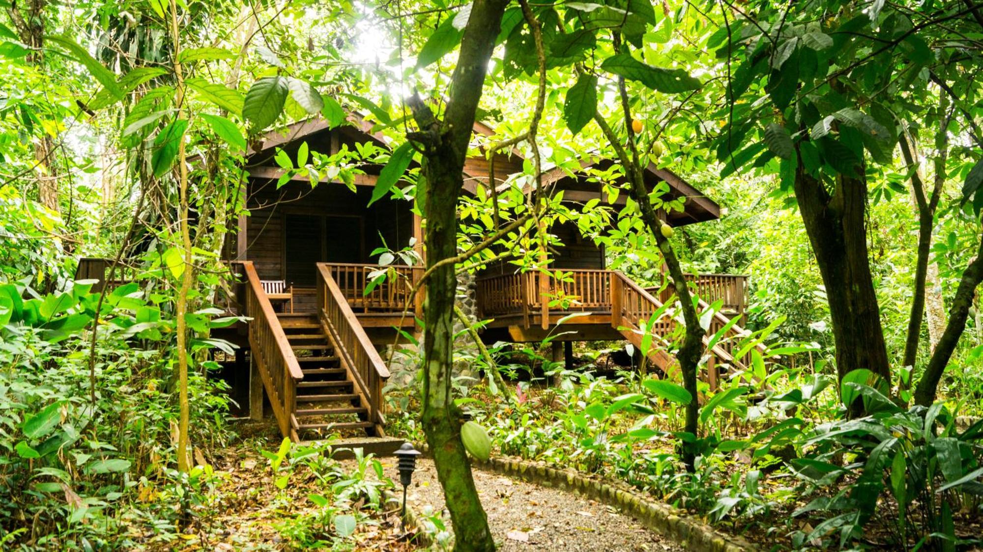 The Lodge & Spa At Pico Bonito El Pino Εξωτερικό φωτογραφία